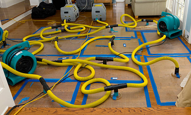 Professional Water Damage Repair technician working in King, NC